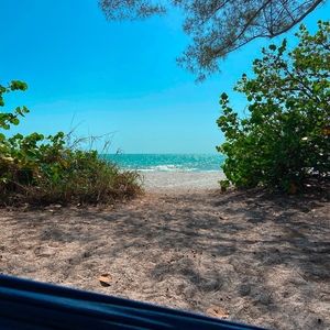 Meet your Posher, Audrey